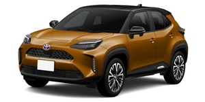 �����X �N���X